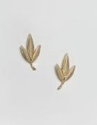 Asos Leaf Stud Earrings - Gold