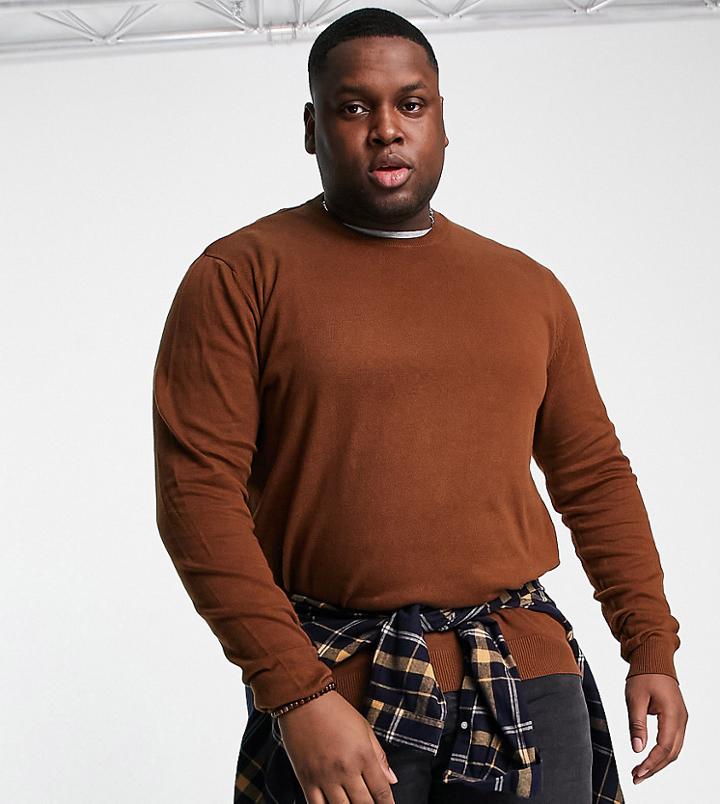 Threadbare Plus Cotton Crew Neck Sweater In Auburn-brown
