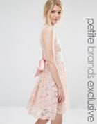 John Zack Petite Plunge Front Lace Dress With Sateen Bow - Nude