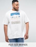 Jacamo Plus T-shirt With Nevada Print In Ecru - Cream