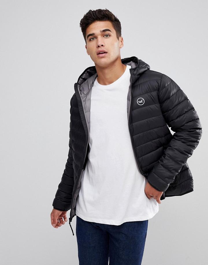 Hollister Lightweight Down Jacket Hooded In Black - Black