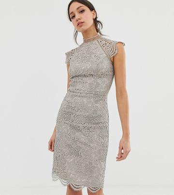 Chi Chi London Tall Scallop Lace Pencil Dress In Gray