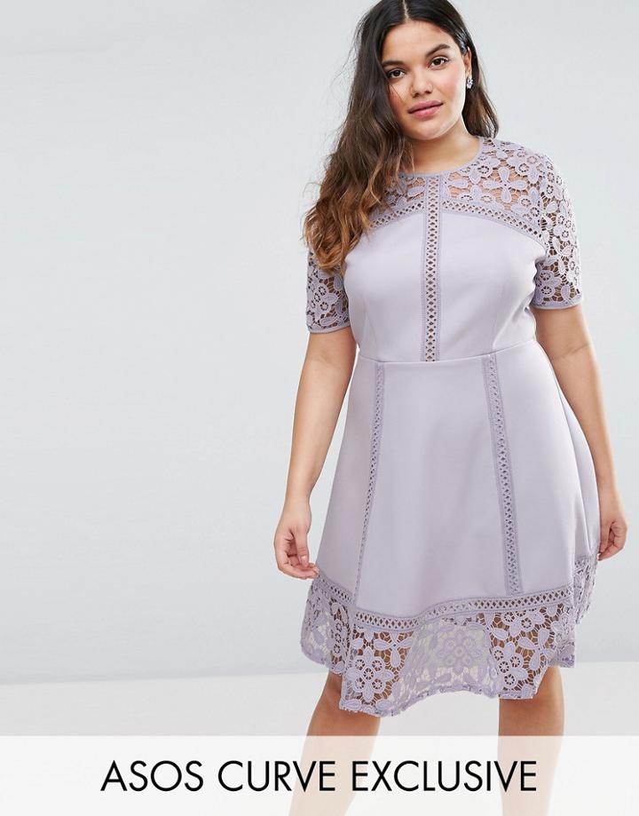 Asos Curve Premium Lace Insert Mini Dress - Purple