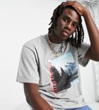 Reclaimed Vintage Inspired T-shirt With Scenic Print In Gray-grey