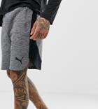 Puma Evostripe Shorts - Gray