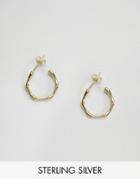 Asos Gold Plated Sterling Silver 18mm Bamboo Earrings - Gold