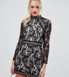 Parisian Tall Long Sleeve Lace Dress - Black