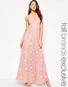 True Decadence Tall Cutwork Lace Halterneck Full Prom Maxi Dress - Blush