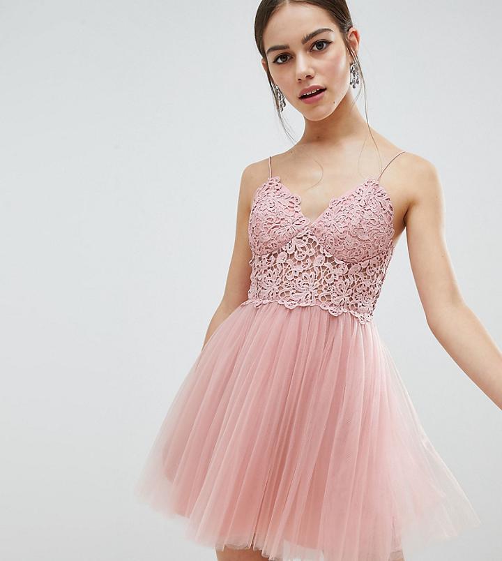 Asos Design Petite Premium Lace Cami Top Tulle Mini Dress - Pink