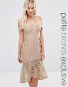 Jarlo Petite Off Shoulder Allover Lace Pencil Dress - Beige