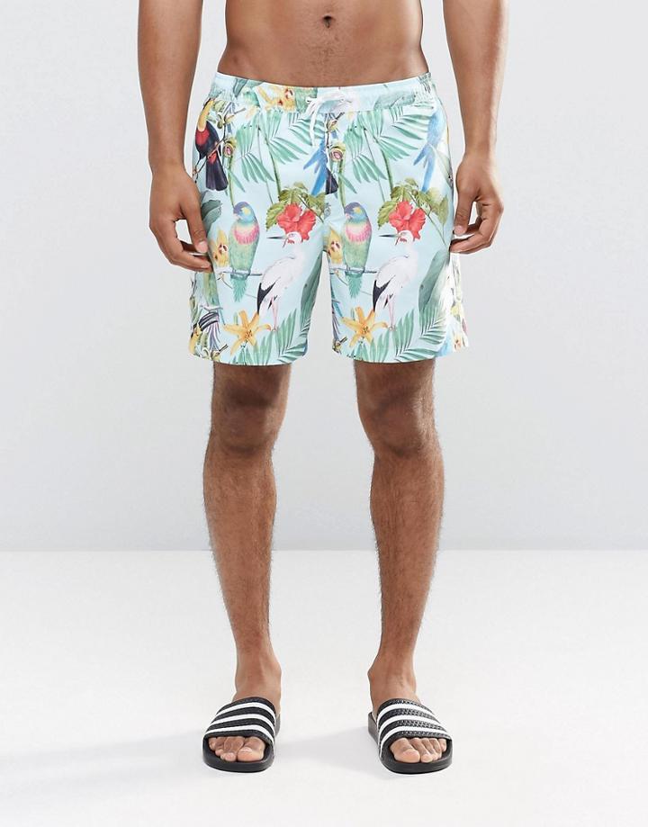 Asos Swim Shorts With Tropical Bird Print In Mid Length - Green