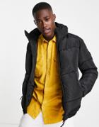 Marshall Artist Paninaro Padded Jacket With Hood In Black