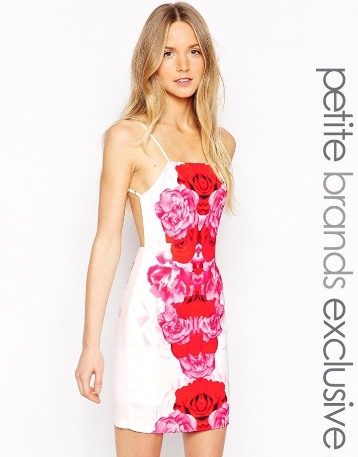 Tiger Mist Petite Red Bloom Mini Dress With Strappy Back - White