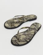 Asos Design Fantom Flip Flops In Snake Print-beige