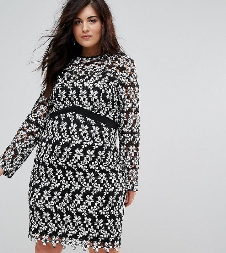 Lovedrobe Allover Floral Lace Contrast Pencil Dress - Multi