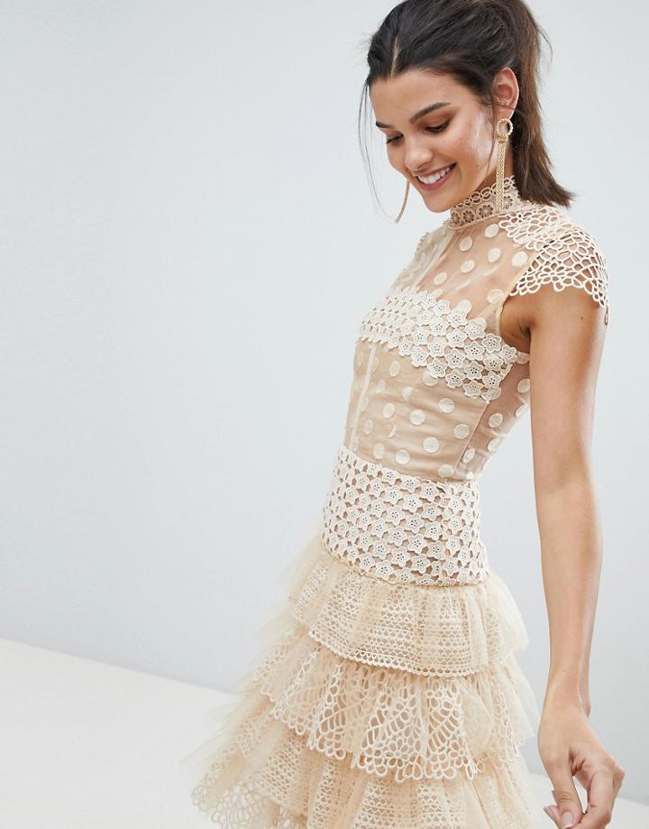 Bronx And Banco Tulle Lace Mini Dress - Beige