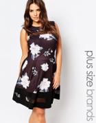 Praslin Plus Skater Dress In Floral Print With Mesh Inserts - Black Floral