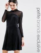 True Decadence Petite Mini High Neck Skater Dress With Mesh Sleeve Det