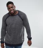 Duke Plus Raglan Sleeve Sweater - Navy
