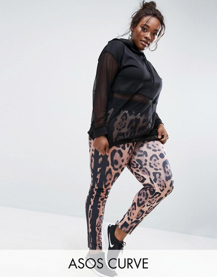 Asos Curve Leopard Print Leggings With Side Stripe - Multi