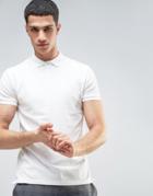 Solid Polo Shirt With Embroidered Logo - White