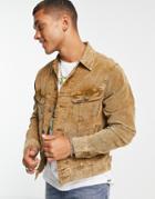 Polo Ralph Lauren Lined Cord Trucker Jacket In Brown