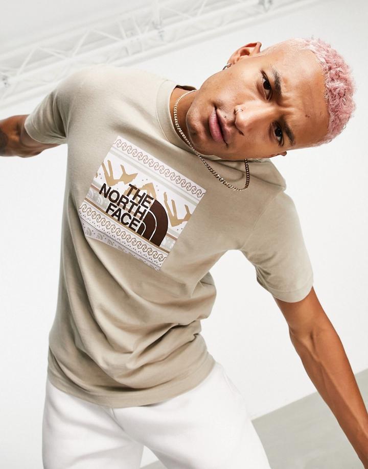 The North Face Nse Box Back Print T-shirt In Beige-brown