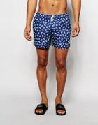 Native Youth Kiwi Print Swim Shorts - Blue