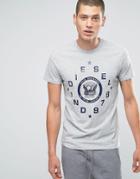 Diesel T-diego-he Logo T-shirt - Gray