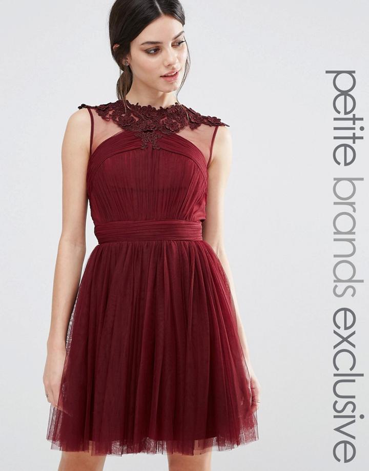 Little Mistress Petite Floral Lace Applique Mini Skater Dress With Mes