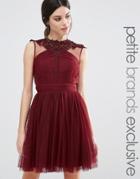 Little Mistress Petite Floral Lace Applique Mini Skater Dress With Mes