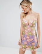 Asos Salon 3d Applique Super Mini Floral Dress - Multi