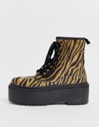 Asos Design Acton Chunky Lace Up Boots In Tan Zebra Print