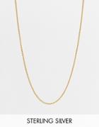 Status Syndicate Gold Plated Short Chain Necklace