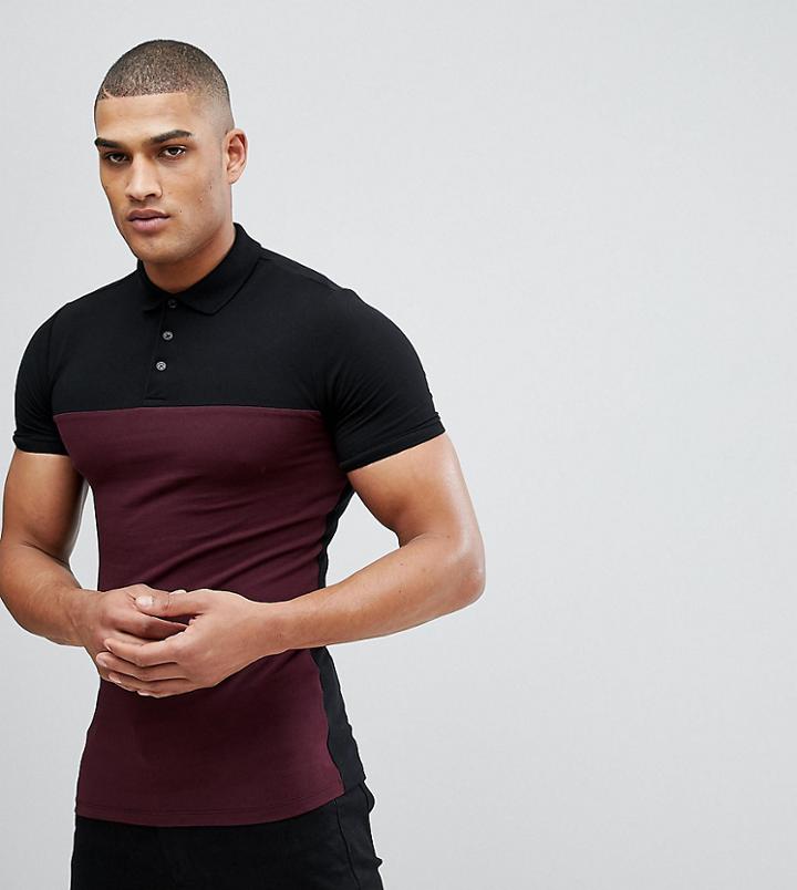 Asos Design Tall Muscle Pique Polo With Contrast Yoke And Cuff - Multi