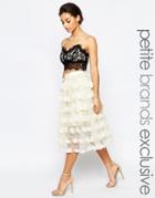 True Decadence Petite 3d Applique Tulle Prom Skirt - Cream