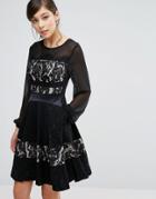 Coast Delphina Lace Paneled Skater Dress - Black