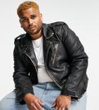 Bolongaro Trevor Plus Biker Leather Jacket In Antique Finish-black