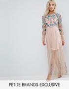 Frock And Frill Petite Floral Embroidered Mesh Maxi Dress With Gathered Cuff And Open Back Detail - Pink
