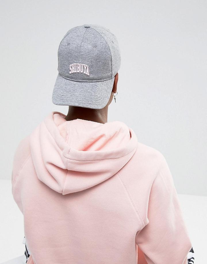 Cayler & Sons Baseball Cap In Gray With Shibuya Text - Gray
