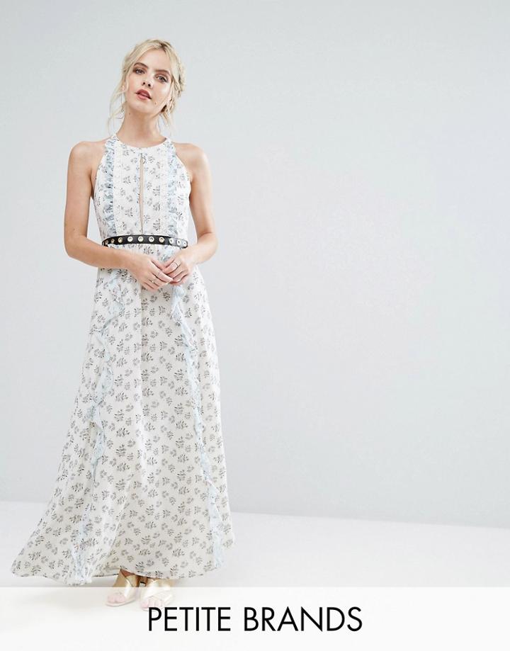 True Decadence Petite Allover Floral Maxi Dress With Metal Belt Detail In Ditsy Floral Print - Multi