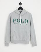 Polo Ralph Lauren Large Embroidered Logo Hoodie In Gray Heather