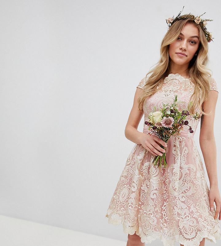 Chi Chi London Petite Premium Lace Midi Prom Dress With Bardot Neck