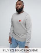 Ellesse Plus Sweatshirt With Small Logo - Gray