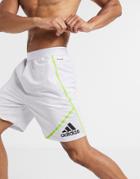 Adidas Training Shorts In White