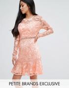 True Decadence Petite Allover Premium Lace Skater Dress With Fluted Hem - Pink