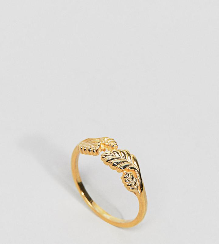 Asos Gold Plated Sterling Silver Wrapped Leaf Ring - Gold