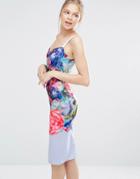 Ted Baker Emore Bodycon Dress In Focus Bouquet Print - Multi