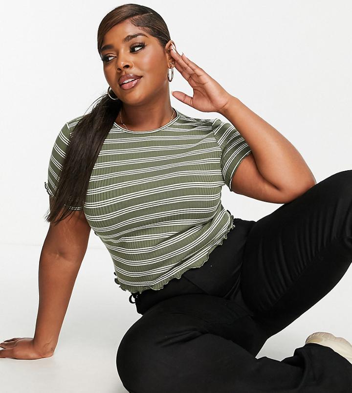 Asos Design Curve Crop T-shirt With Lettuce Edge In Khaki And Cream Stripe-multi