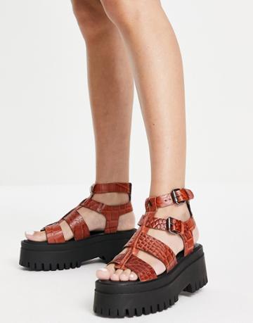 Asra Phoenix Leather Chunky Sandals In Sienna Croc-red
